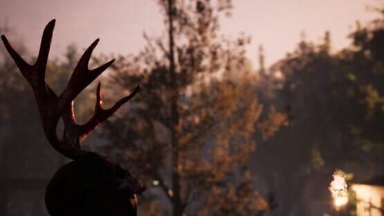 The Witch — screenshot 4