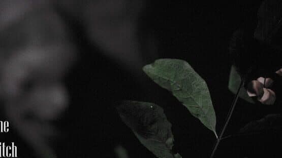 The Witch — screenshot 7