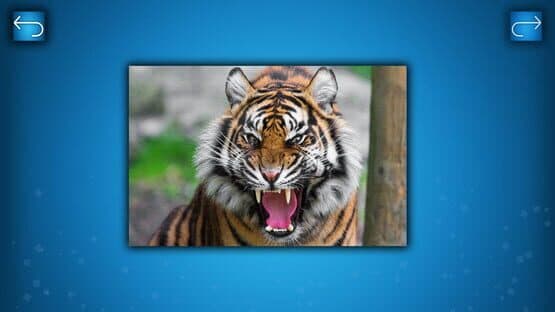 Puzzle: Animals — screenshot 1