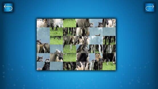 Puzzle: Animals — screenshot 5