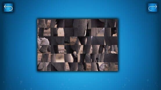 Puzzle: Animals — screenshot 6