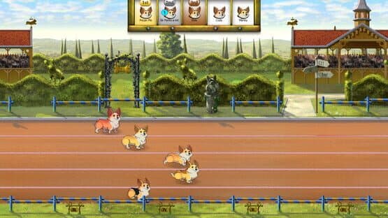 Corgi Race — screenshot 1