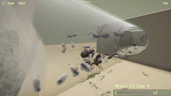 Ant Keeping Simulator — screenshot 2