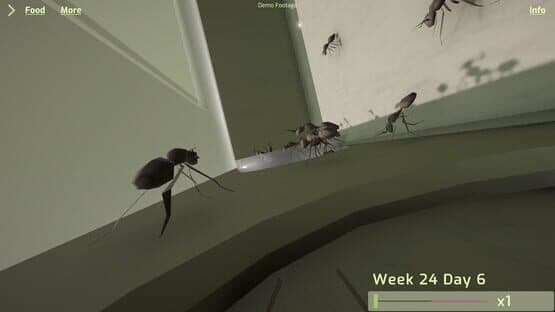 Ant Keeping Simulator — screenshot 4