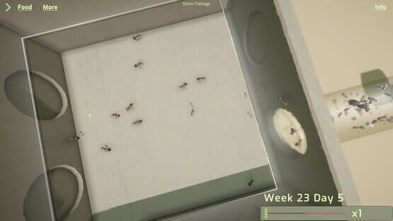 Ant Keeping Simulator — screenshot 5