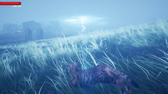 CozyCat Simulator — screenshot 1