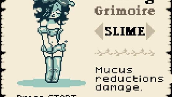 Mage and the Grimoire of Beast — screenshot 4