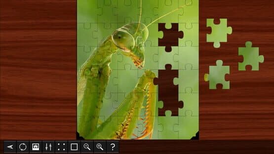 Jigsaw Puzzle World: Insects — screenshot 1