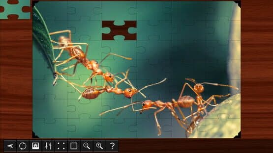 Jigsaw Puzzle World: Insects — screenshot 2