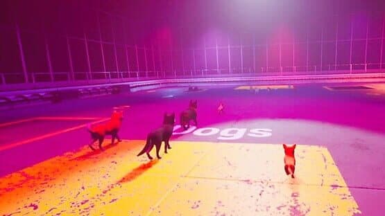 Claw Clash: Cat vs. Dog Betting — screenshot 4