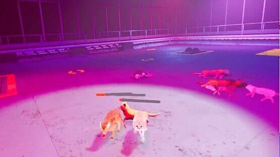 Claw Clash: Cat vs. Dog Betting — screenshot 5
