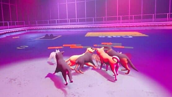 Claw Clash: Cat vs. Dog Betting — screenshot 6