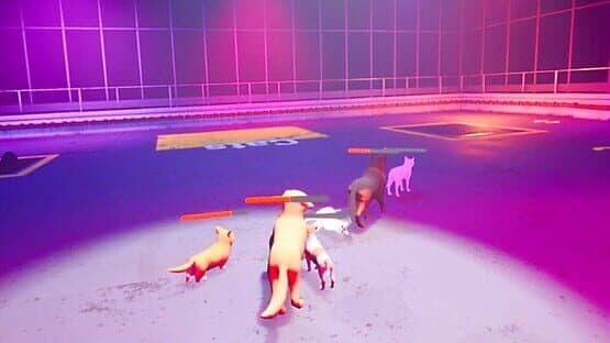 Claw Clash: Cat vs. Dog Betting — screenshot 8