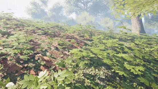 Herbal Hunter — screenshot 5