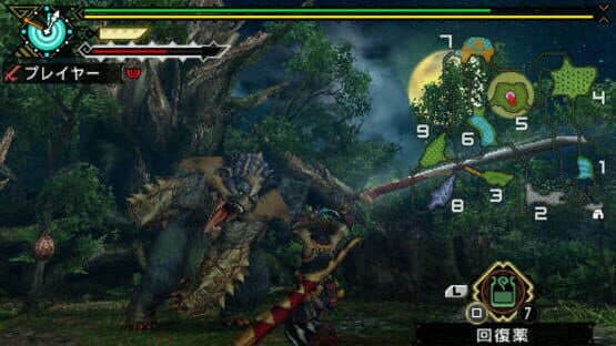 Monster Hunter Portable 3rd — screenshot 2