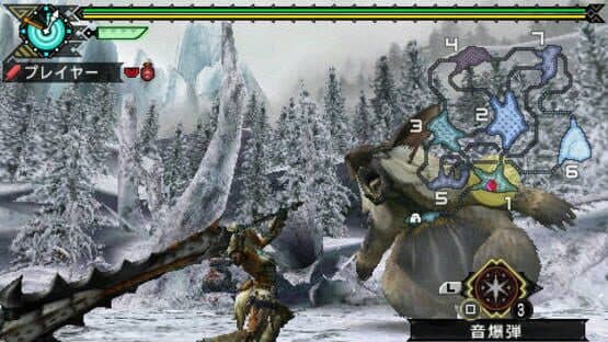 Monster Hunter Portable 3rd — screenshot 3