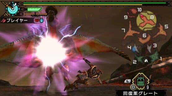Monster Hunter Portable 3rd — screenshot 5