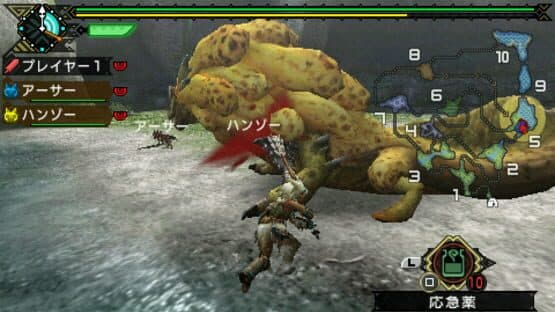 Monster Hunter Portable 3rd — screenshot 6