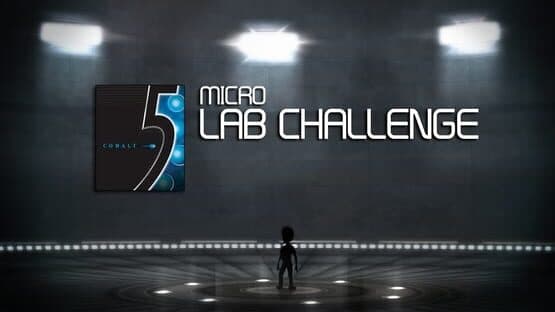 Kinect Fun Labs: 5 Micro Lab Challenge — screenshot 1