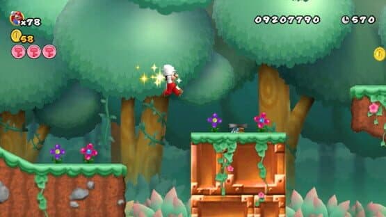 Mario's Final Adventure Wii — screenshot 1