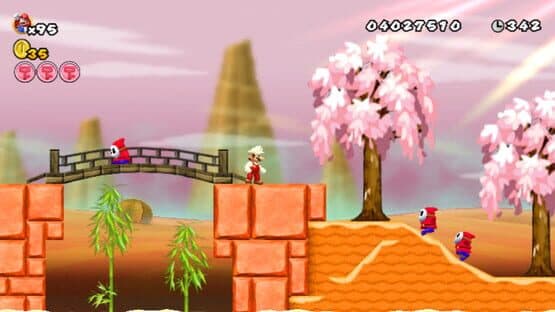 Mario's Final Adventure Wii — screenshot 5