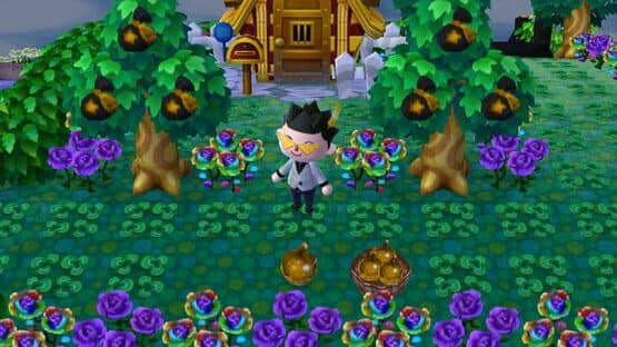 Animal Crossing: New Leaf - Welcome Luxury — screenshot 4