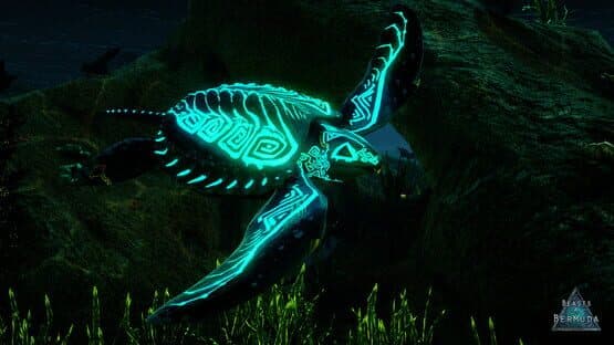 Beasts of Bermuda: Archelon Supporter Warpaint — screenshot 1