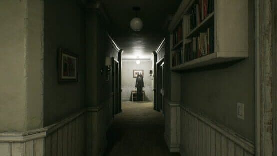 Paraplasm: Beyond the Veil — screenshot 4