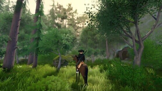 Forty-Niner — screenshot 8