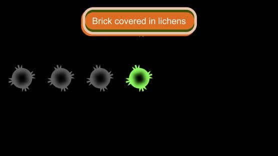 Blind Quest: The Ivy Queen — screenshot 3