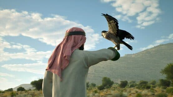 Enter Falconry — screenshot 2