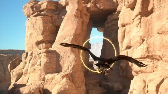 Enter Falconry — screenshot 4