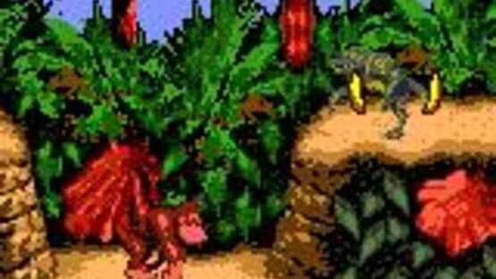 Donkey Kong Country — screenshot 6
