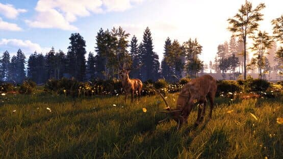 Windstorm: Start of a Great Friendship - Remastered — screenshot 3
