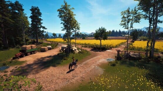 Windstorm: Start of a Great Friendship - Remastered — screenshot 4