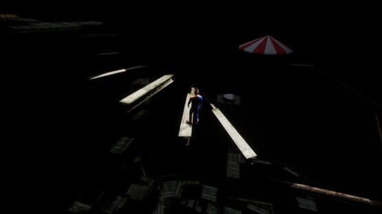 Circus Challenge — screenshot 4