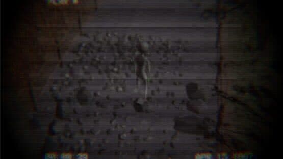 Homing Instinct — screenshot 3