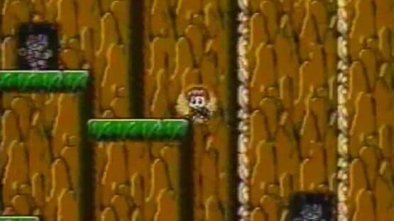 Legend of Hero Tonma — screenshot 2