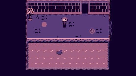Acai cOrner — screenshot 1