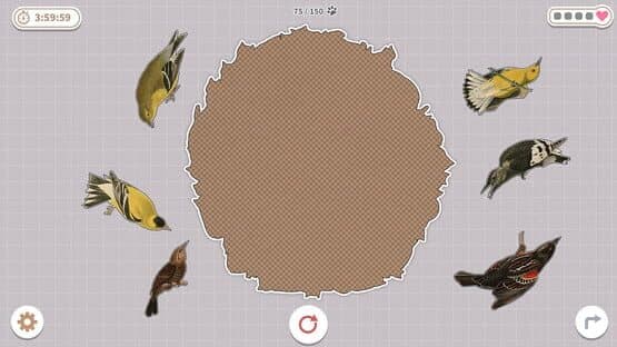 Brids Huddled Together — screenshot 3