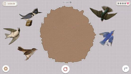 Brids Huddled Together — screenshot 5