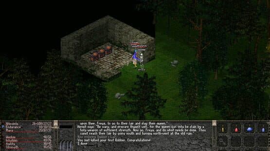 Ugaris: The Legend Recovered — screenshot 1