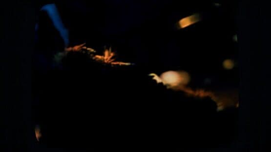Cat Got Your Tongue — screenshot 3