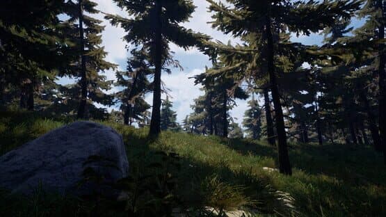 Forest of Fear — screenshot 1