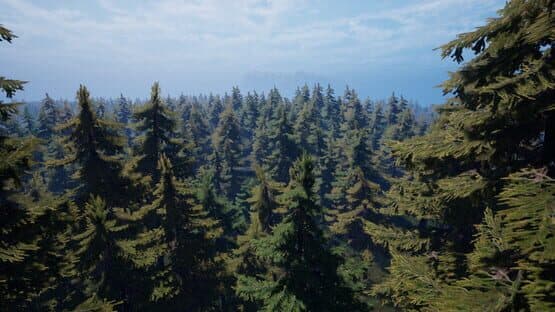 Forest of Fear — screenshot 2