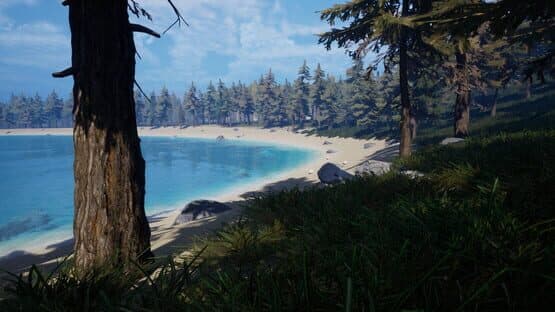 Forest of Fear — screenshot 3
