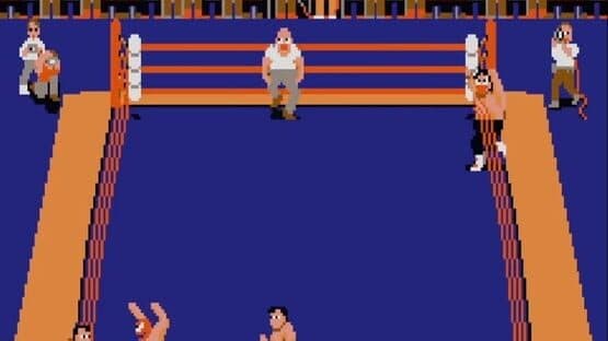 Tag Team Wrestling — screenshot 2