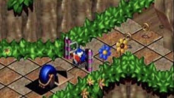 Sonic 3D Blast — screenshot 6