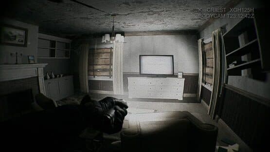 Baisu — screenshot 1