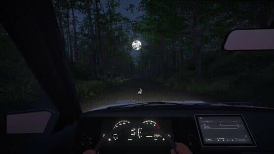 Endless Casual Drive — screenshot 5